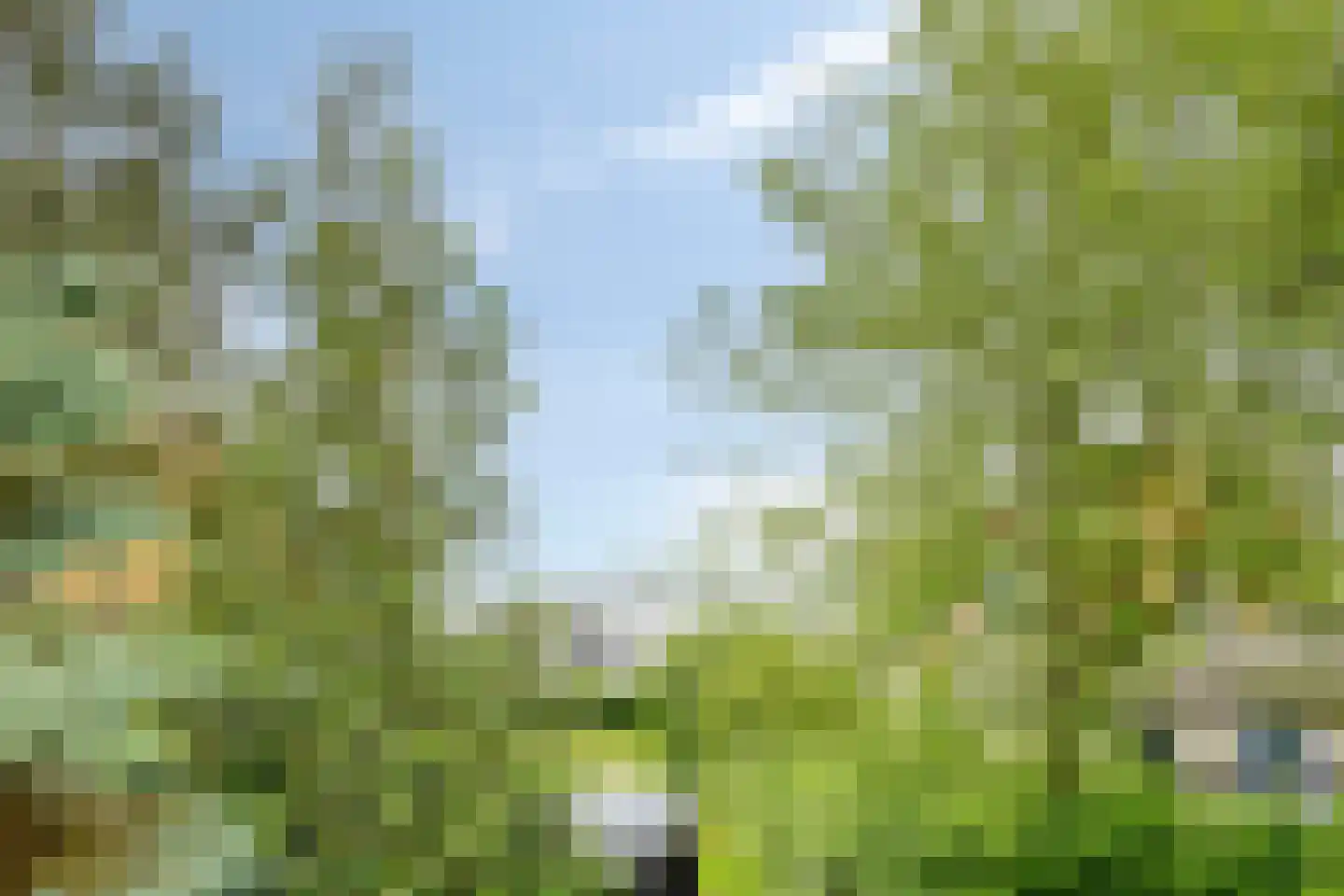 Roegeweg 1 24 Steendam thumbnail 34