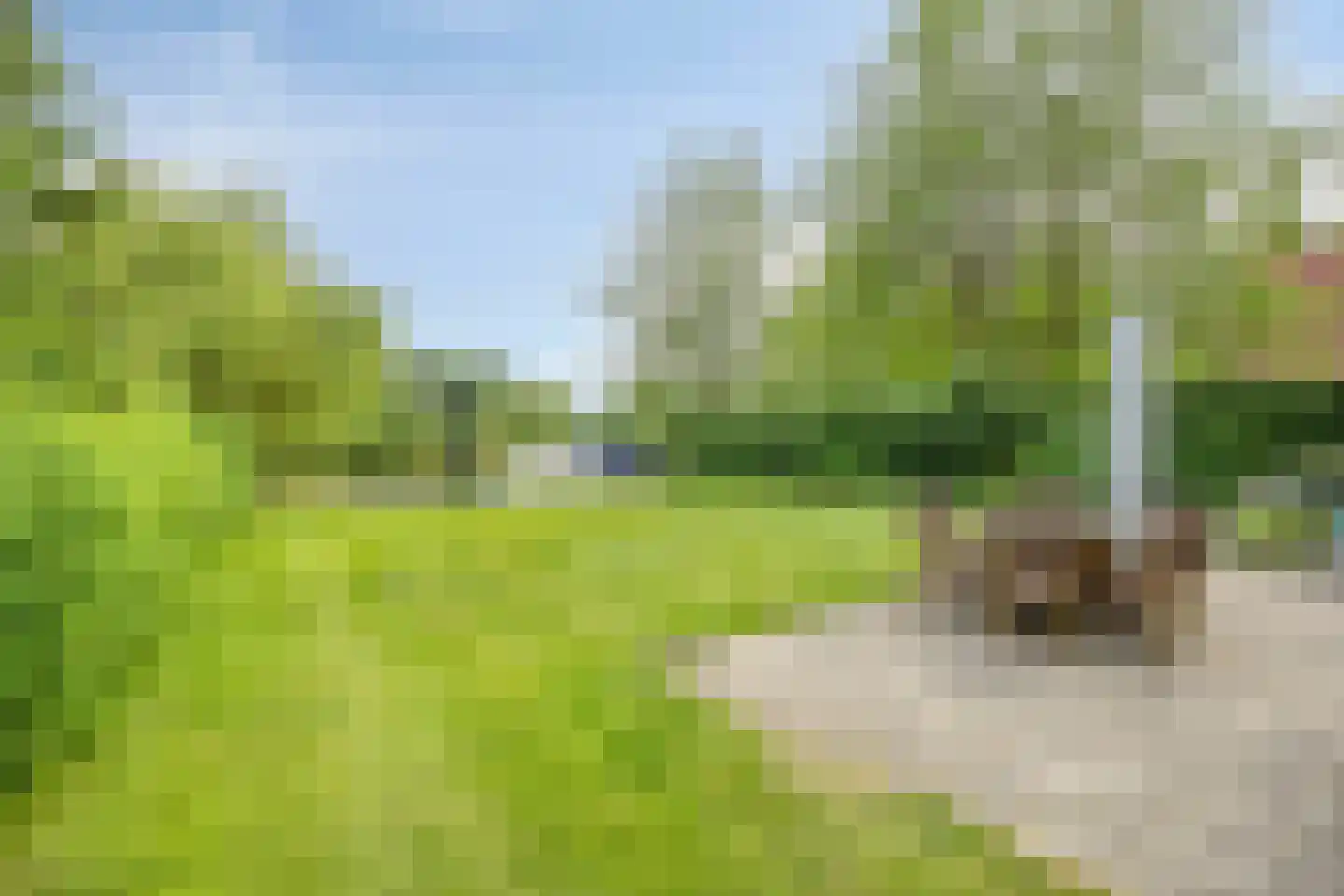 Roegeweg 1 24 Steendam thumbnail 36