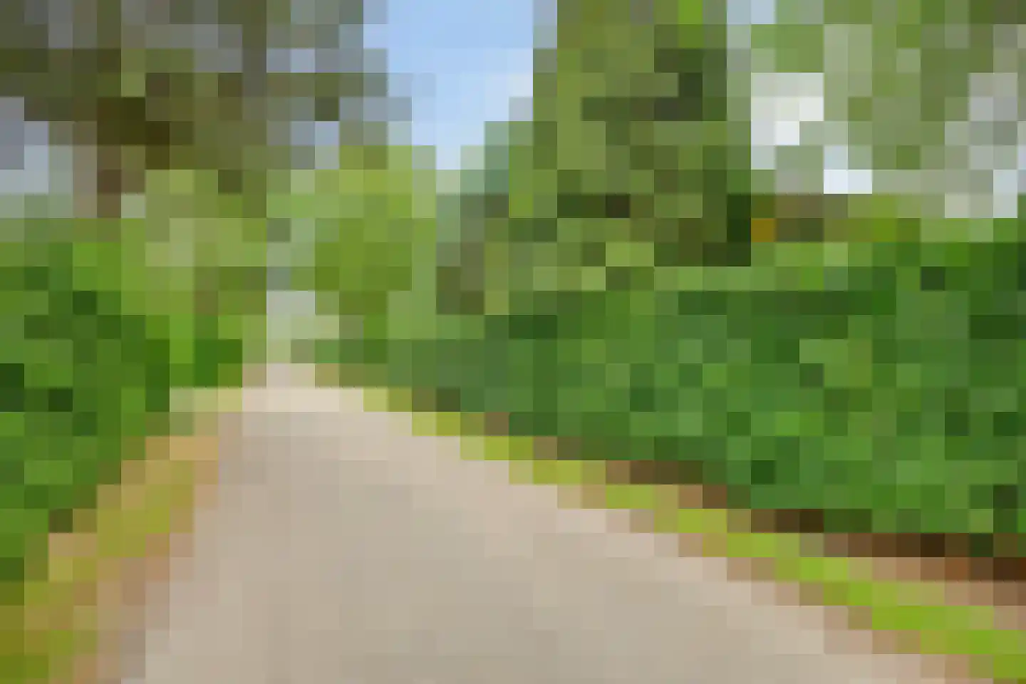 Roegeweg 1 24 Steendam thumbnail 8