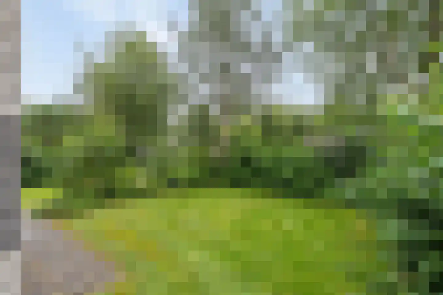 Roegeweg 1 5 Steendam thumbnail 10