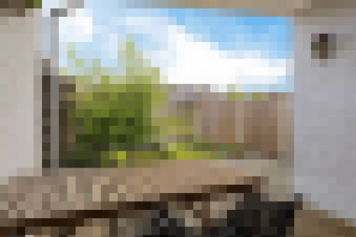 Roegoorn 23 Assen thumbnail 32