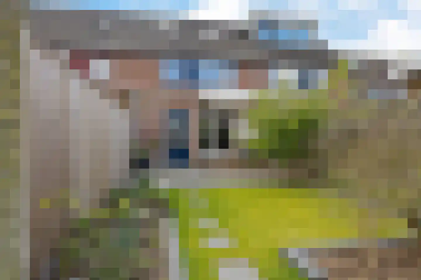 Roegoorn 23 Assen thumbnail 37