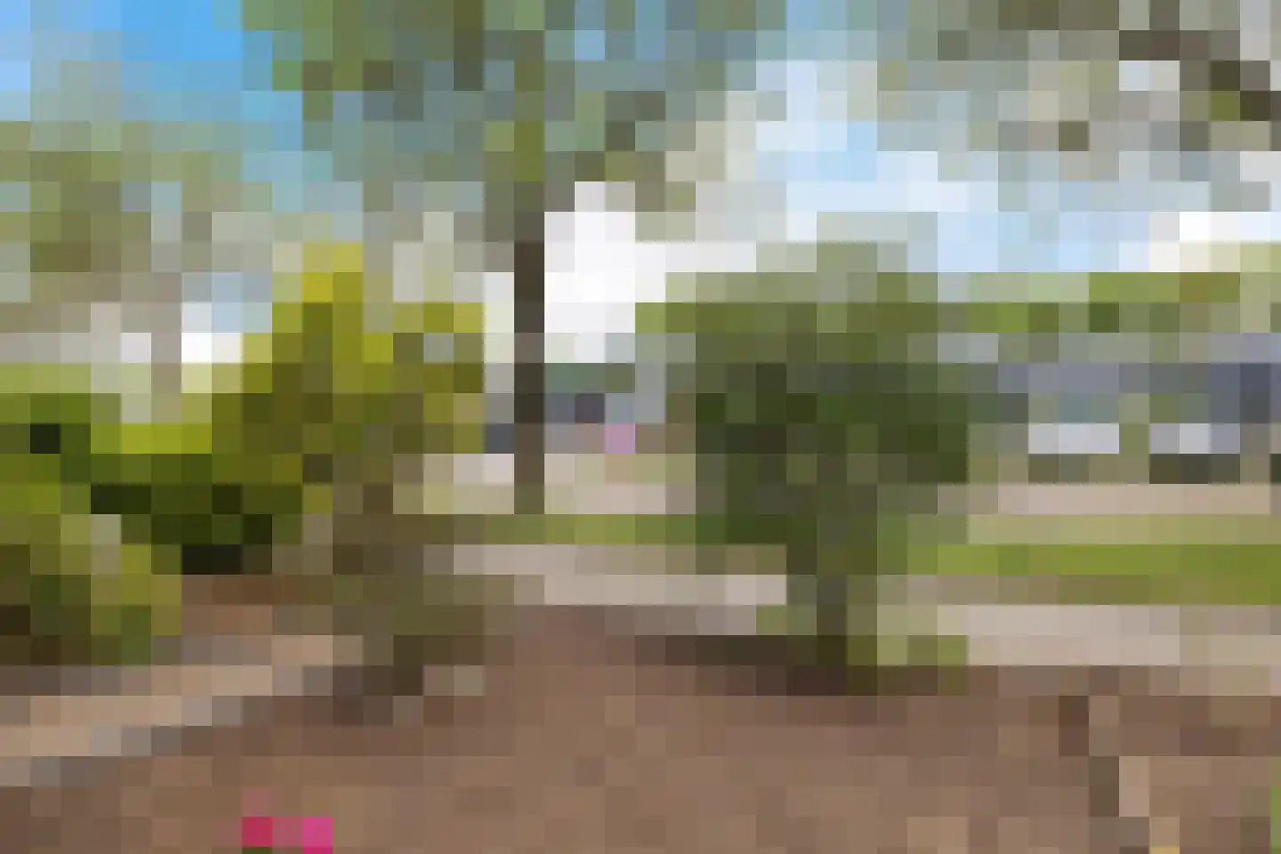 Roegoorn 23 Assen thumbnail 42