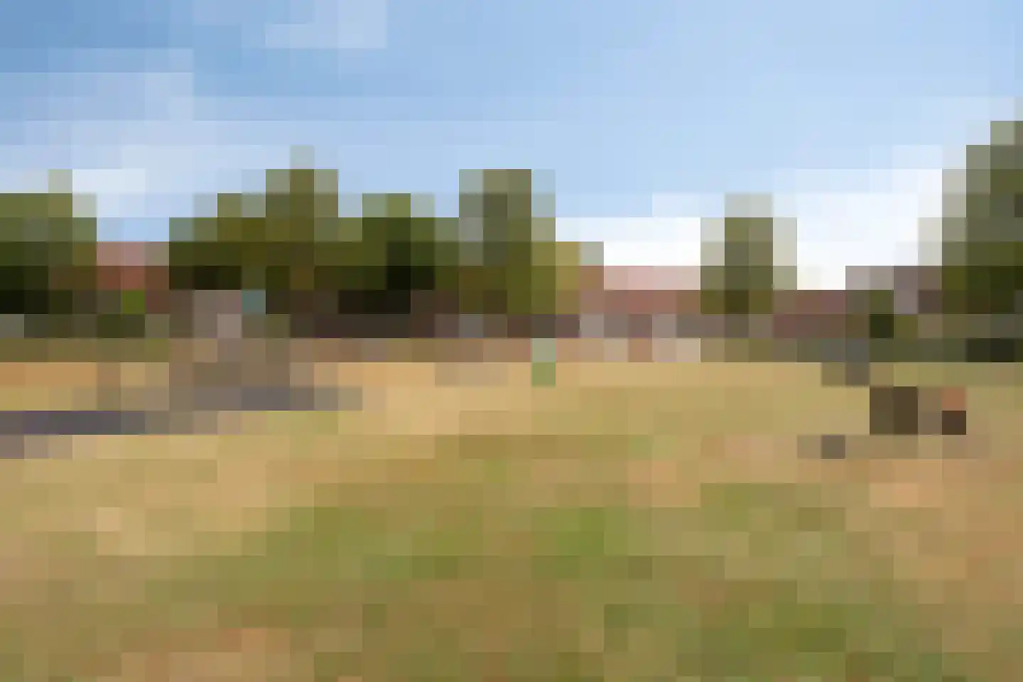 Roegoorn 25 Assen thumbnail 37