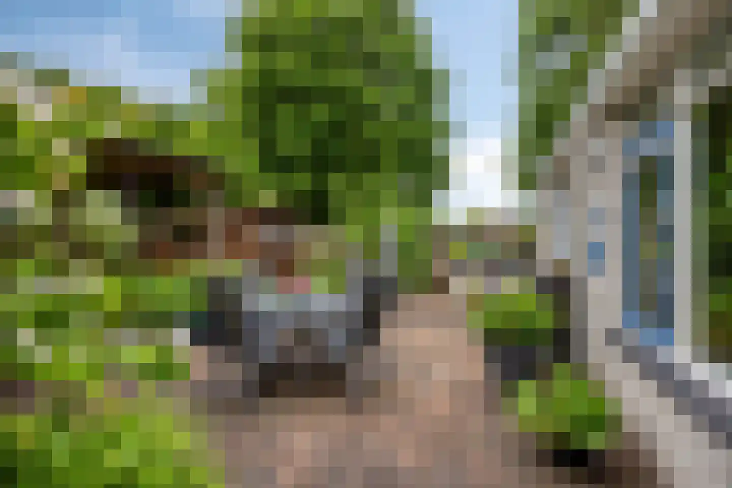 Roegoorn 32 Assen thumbnail 20