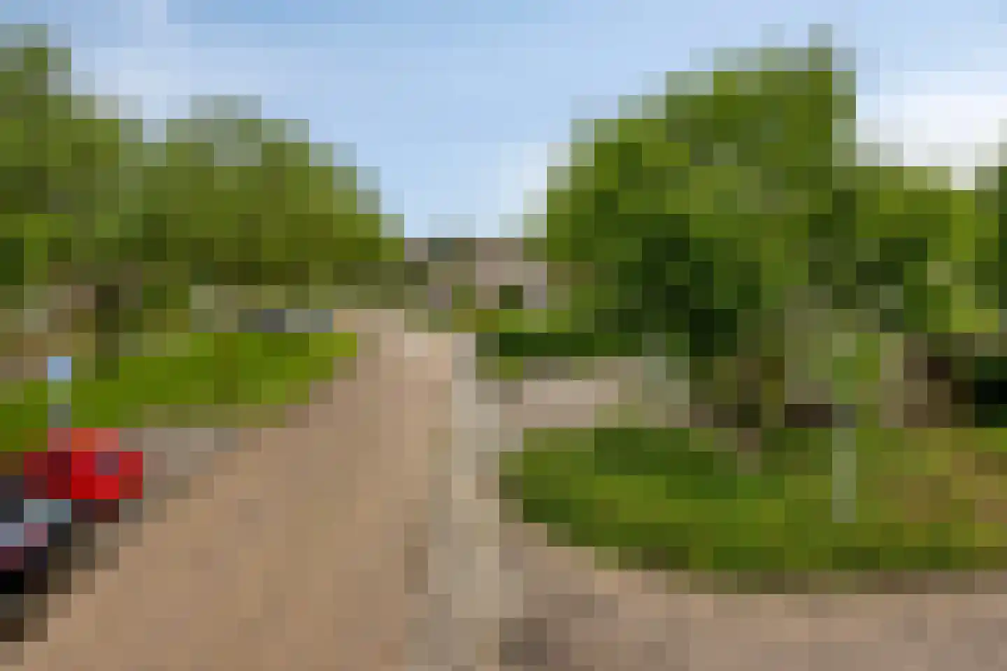 Roegoorn 32 Assen thumbnail 31