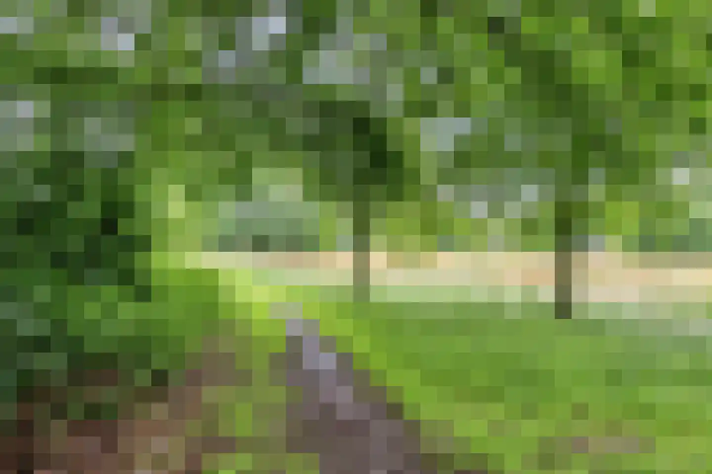 Roegoorn 32 Assen thumbnail 33