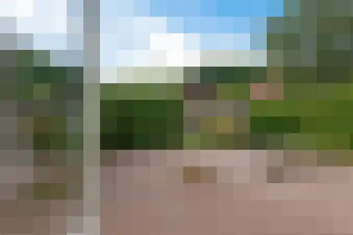 Roegoorn 38 Assen thumbnail 23