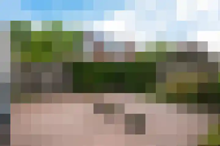 Roegoorn 38 Assen thumbnail 34