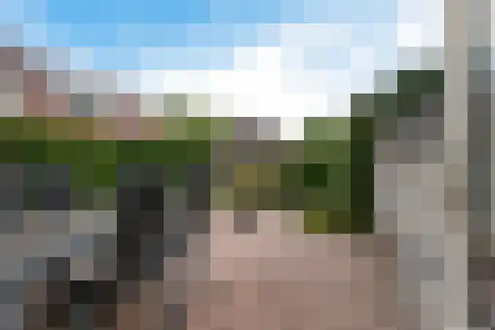 Roegoorn 38 Assen thumbnail 35