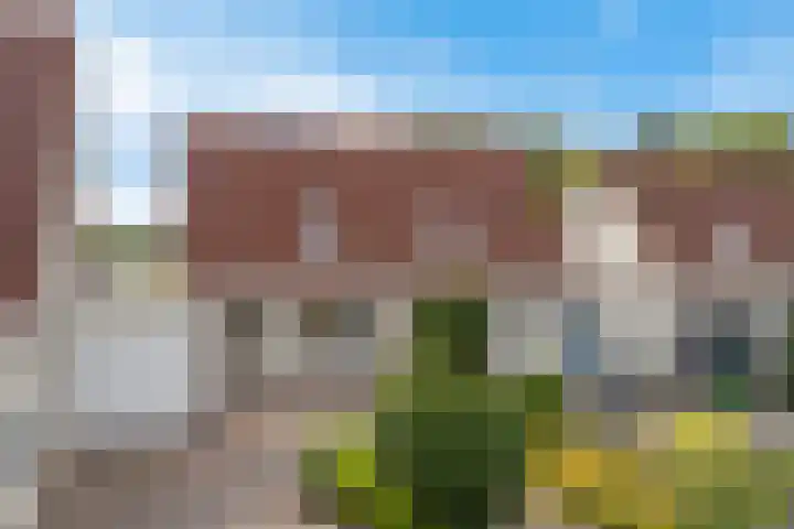 Roegoorn 38 Assen thumbnail 36