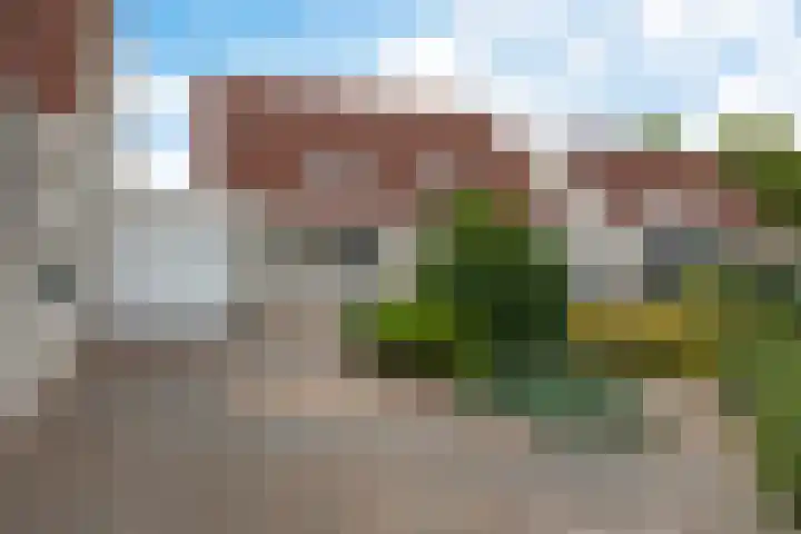 Roegoorn 38 Assen thumbnail 6