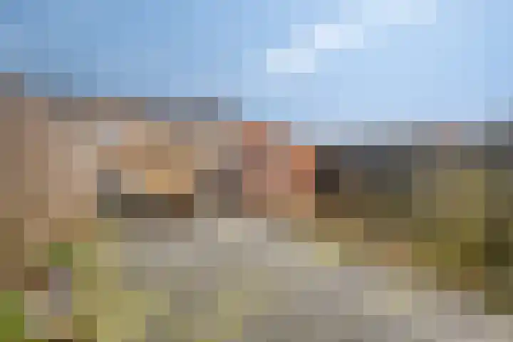 Roegoorn 41 Assen thumbnail 32