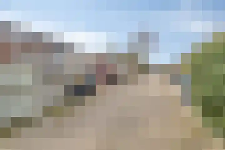Roegoorn 41 Assen thumbnail 37