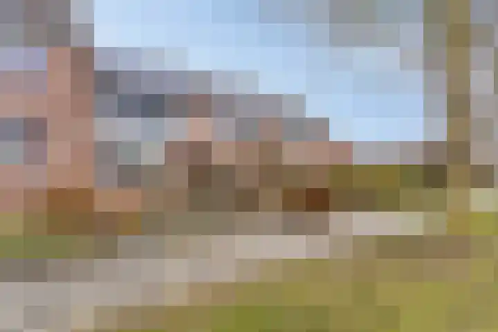 Roegoorn 41 Assen thumbnail 38