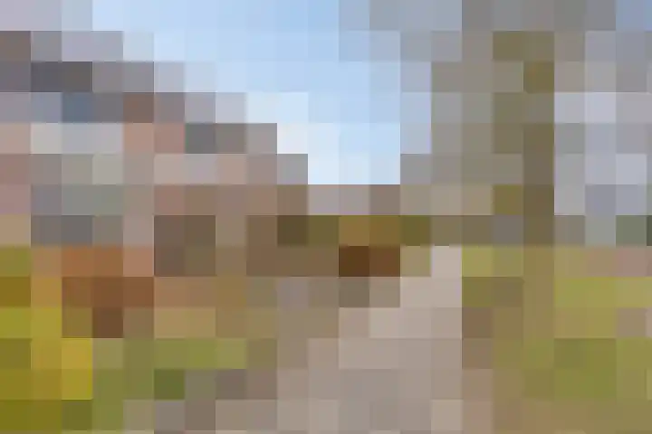 Roegoorn 41 Assen thumbnail 39