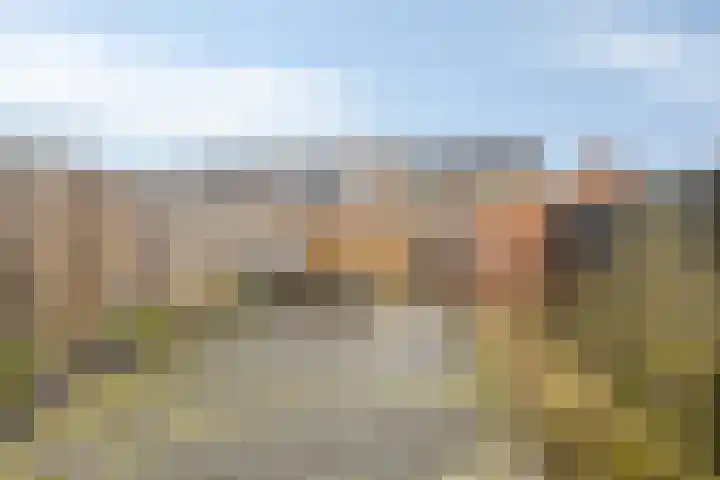 Roegoorn 41 Assen thumbnail 4