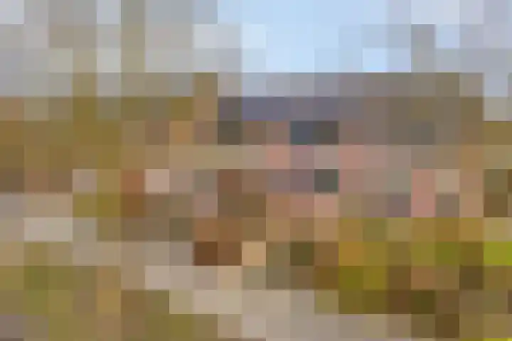 Roegoorn 41 Assen thumbnail 41