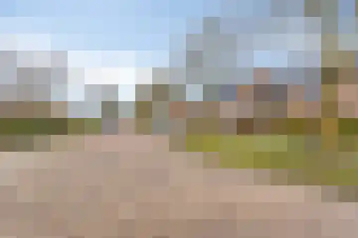 Roegoorn 41 Assen thumbnail 42