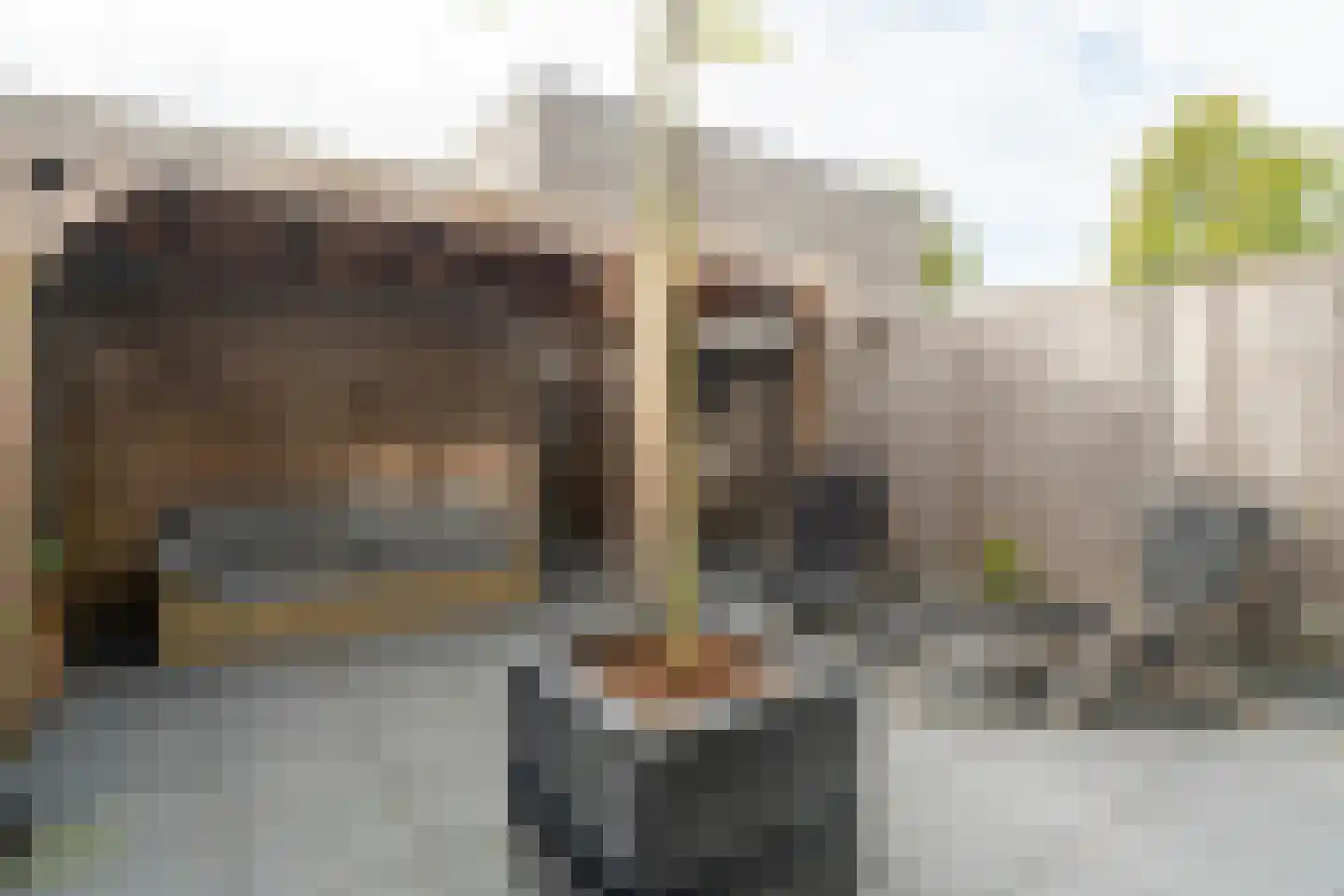 Roegoorn 5 E Assen thumbnail 37