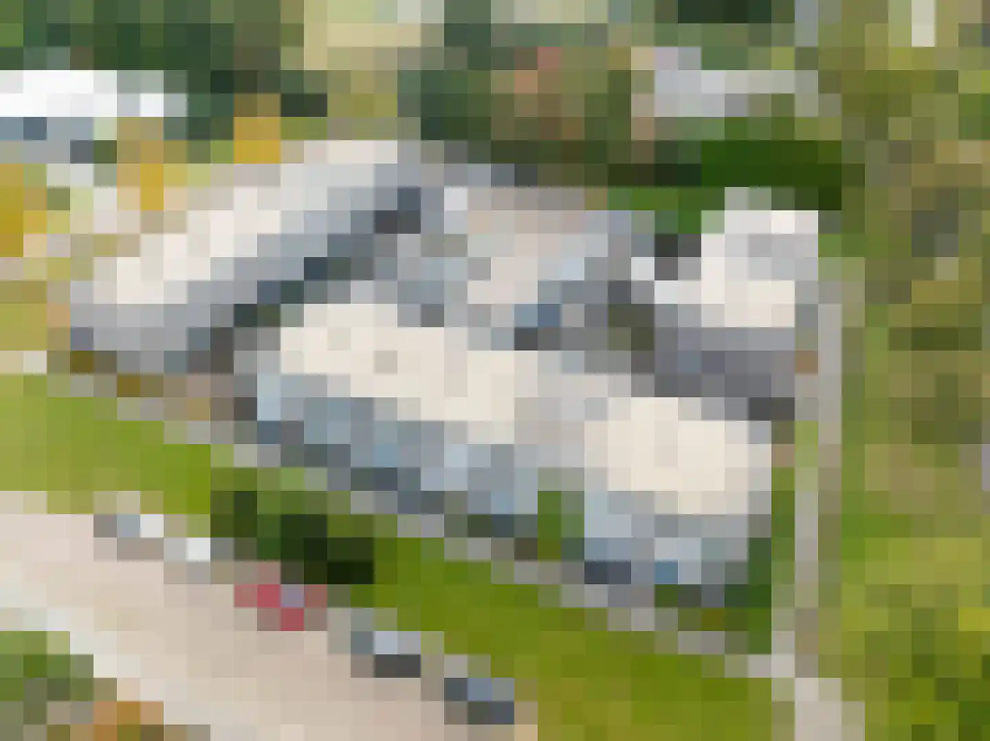 Roegoorn 5 E Assen thumbnail 40