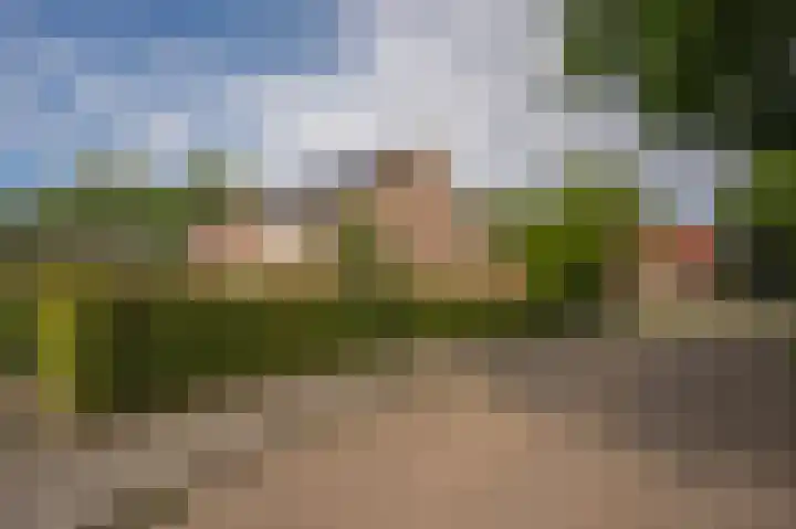 Roegoorn 50 Assen thumbnail 8