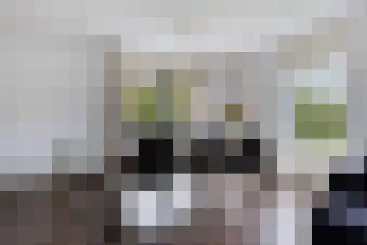 Roegte 16 Appelscha thumbnail 11