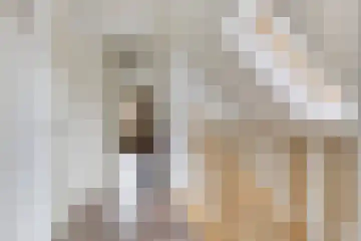 Roegte 16 Appelscha thumbnail 25