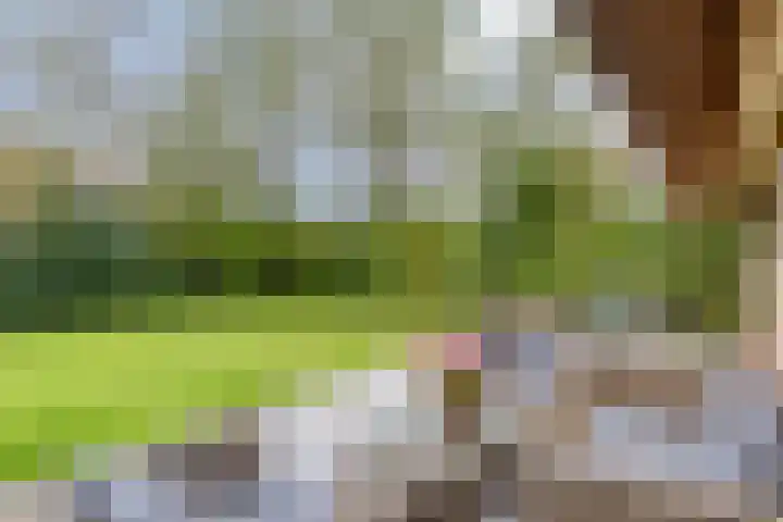 Roegte 16 Appelscha thumbnail 33