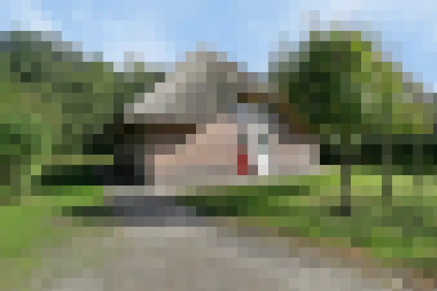 Roegte 17 Appelscha foto 2