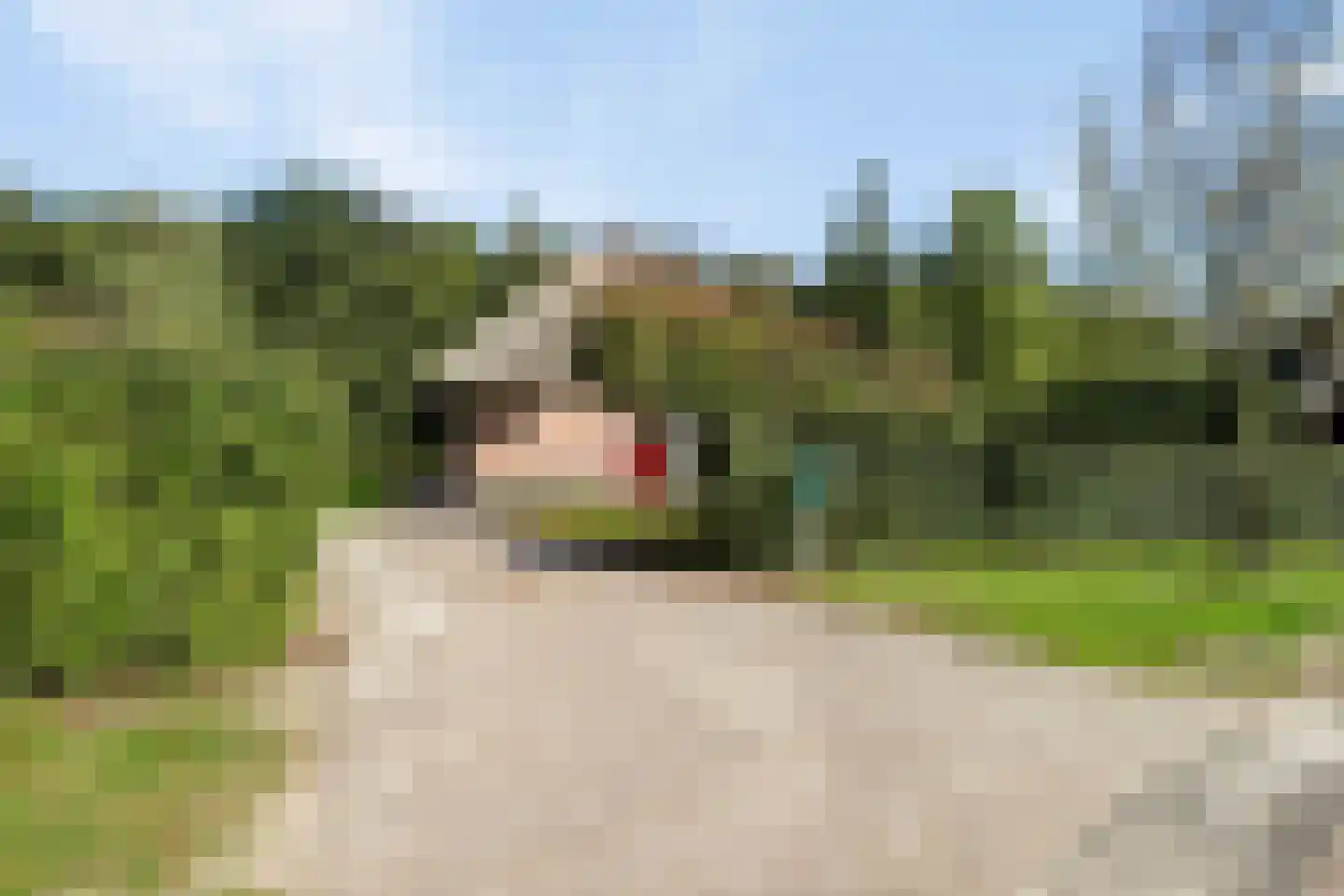Roegte 17 Appelscha thumbnail 23