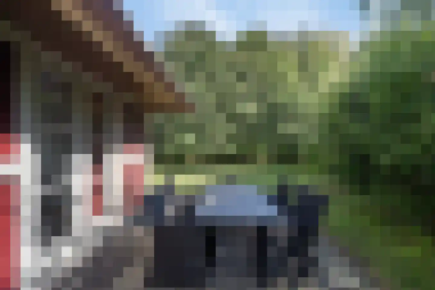 Roegte 17 Appelscha thumbnail 24