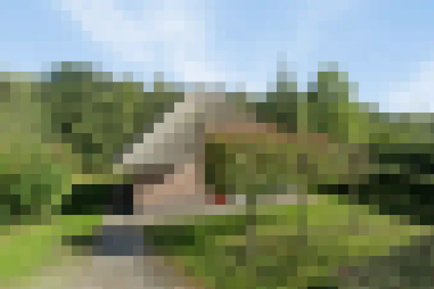 Roegte 17 Appelscha thumbnail 29