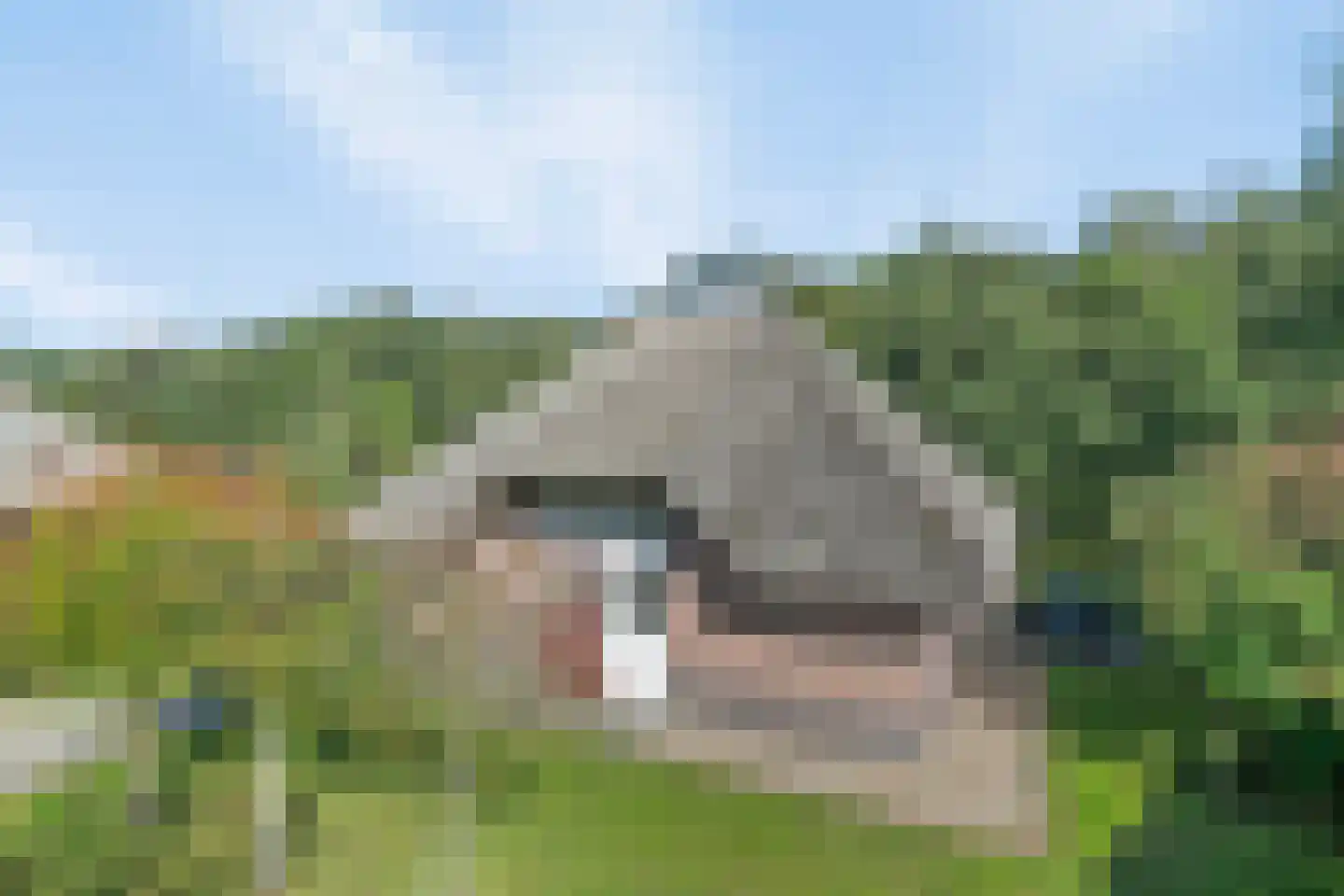Roegte 17 Appelscha thumbnail 31