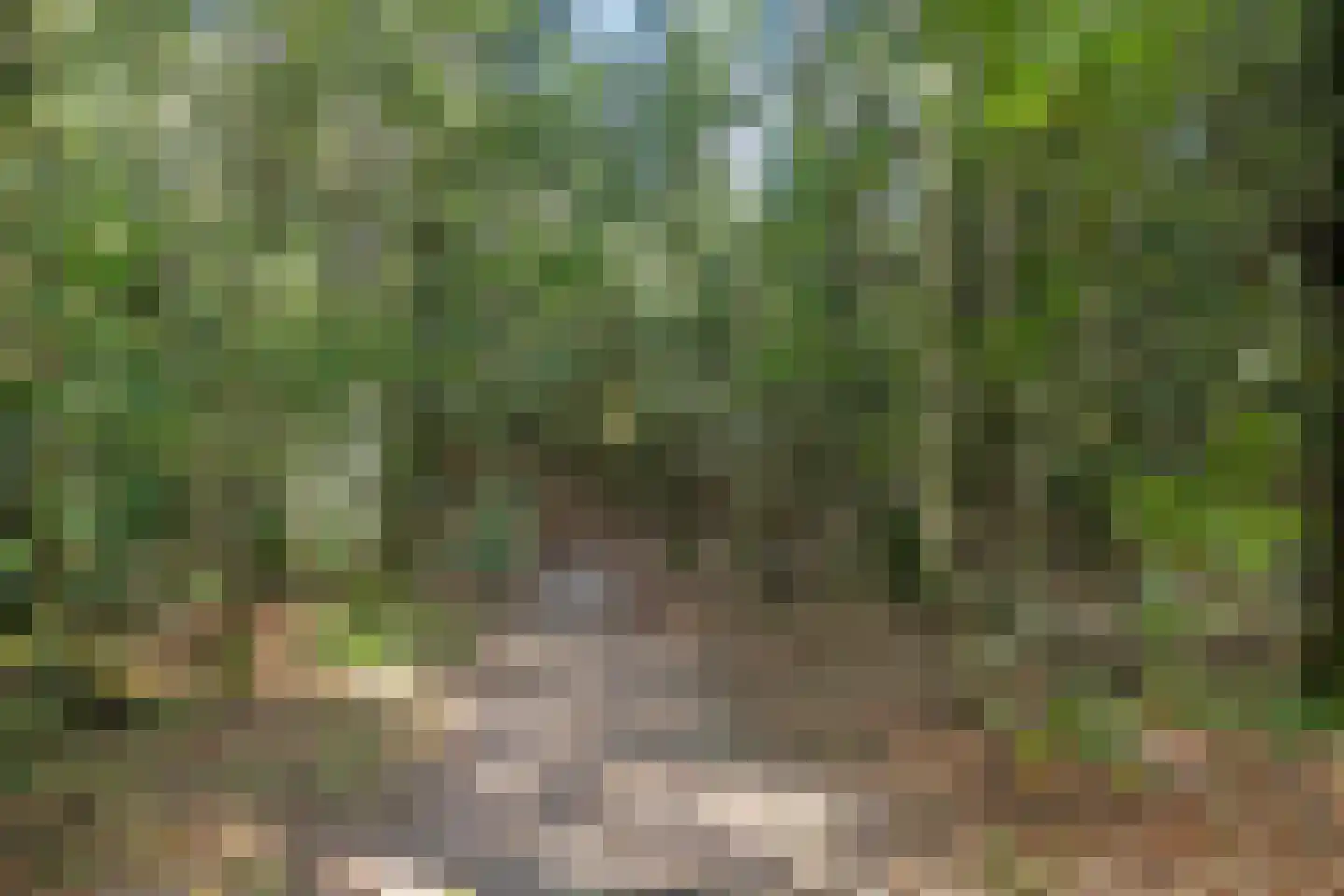 Roegte 17 Appelscha thumbnail 33