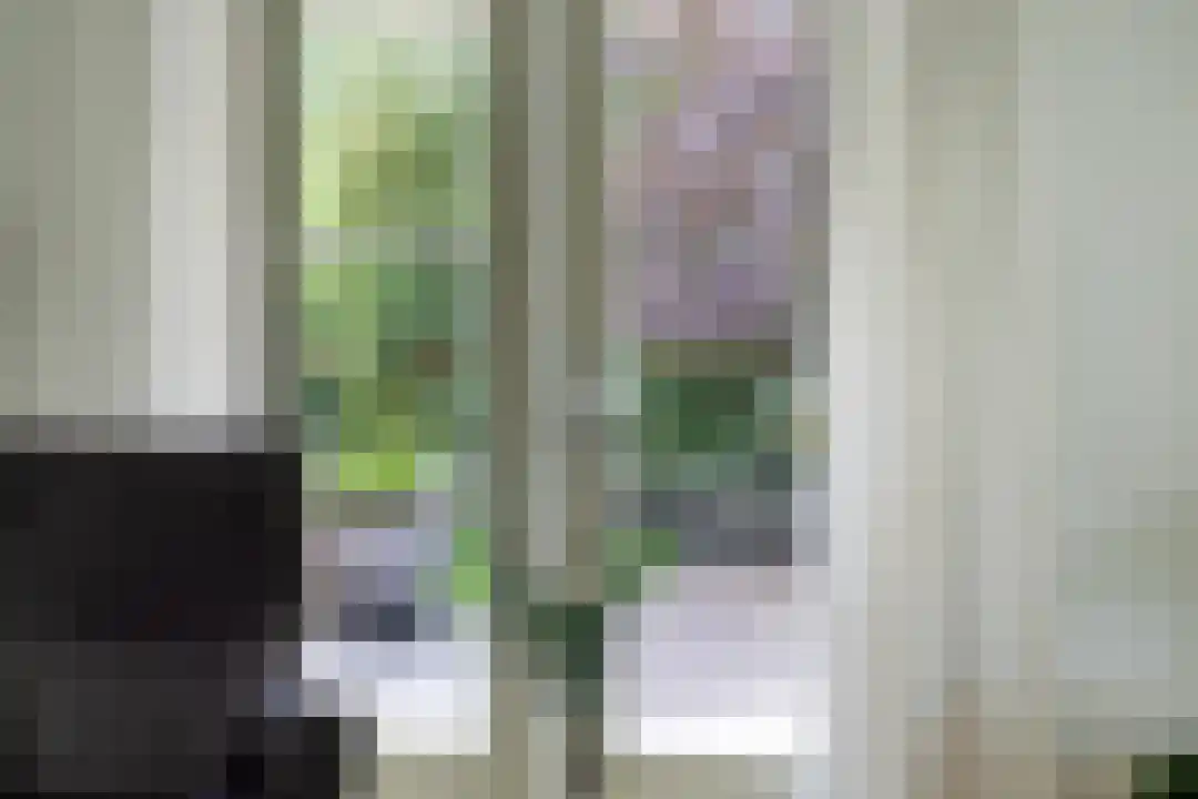 Roegte 19 Appelscha thumbnail 14
