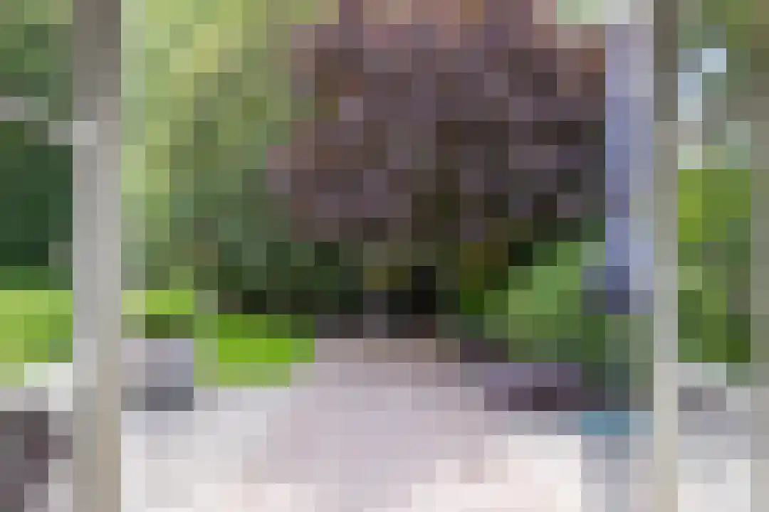 Roegte 19 Appelscha thumbnail 15