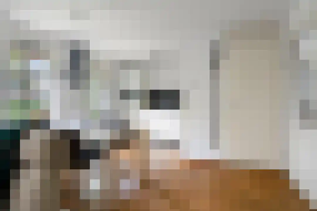 Roegte 19 Appelscha thumbnail 18