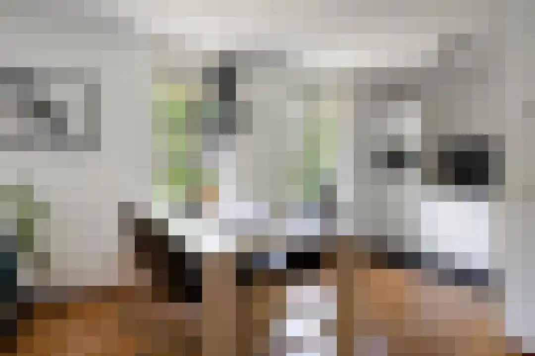 Roegte 19 Appelscha thumbnail 20