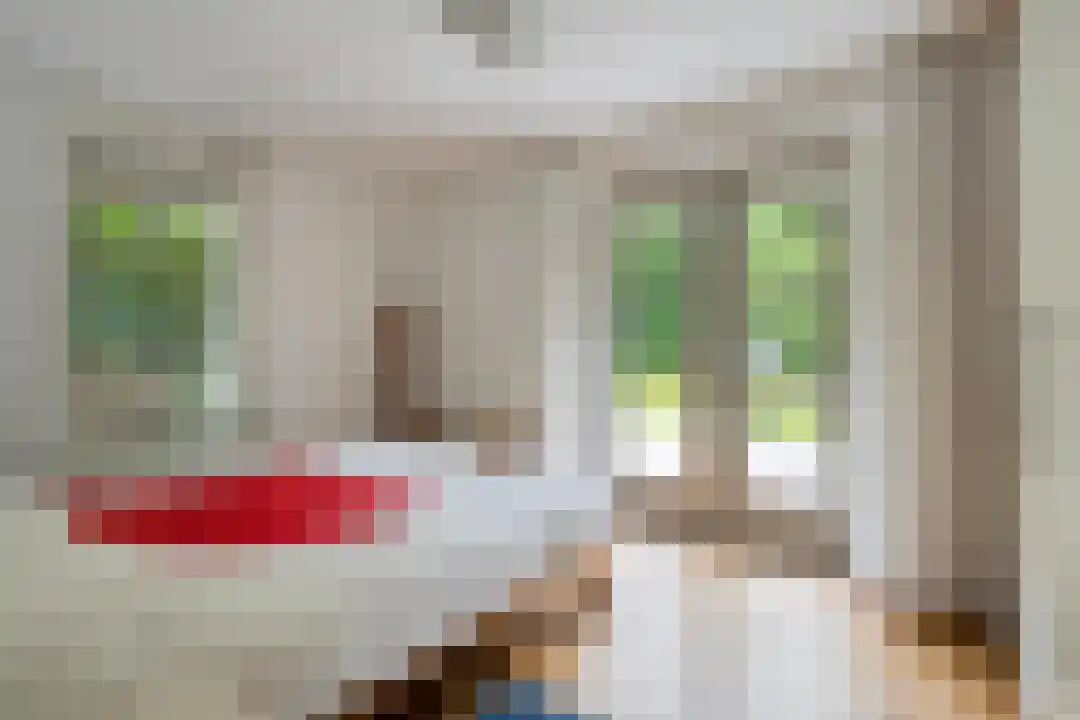 Roegte 19 Appelscha thumbnail 26