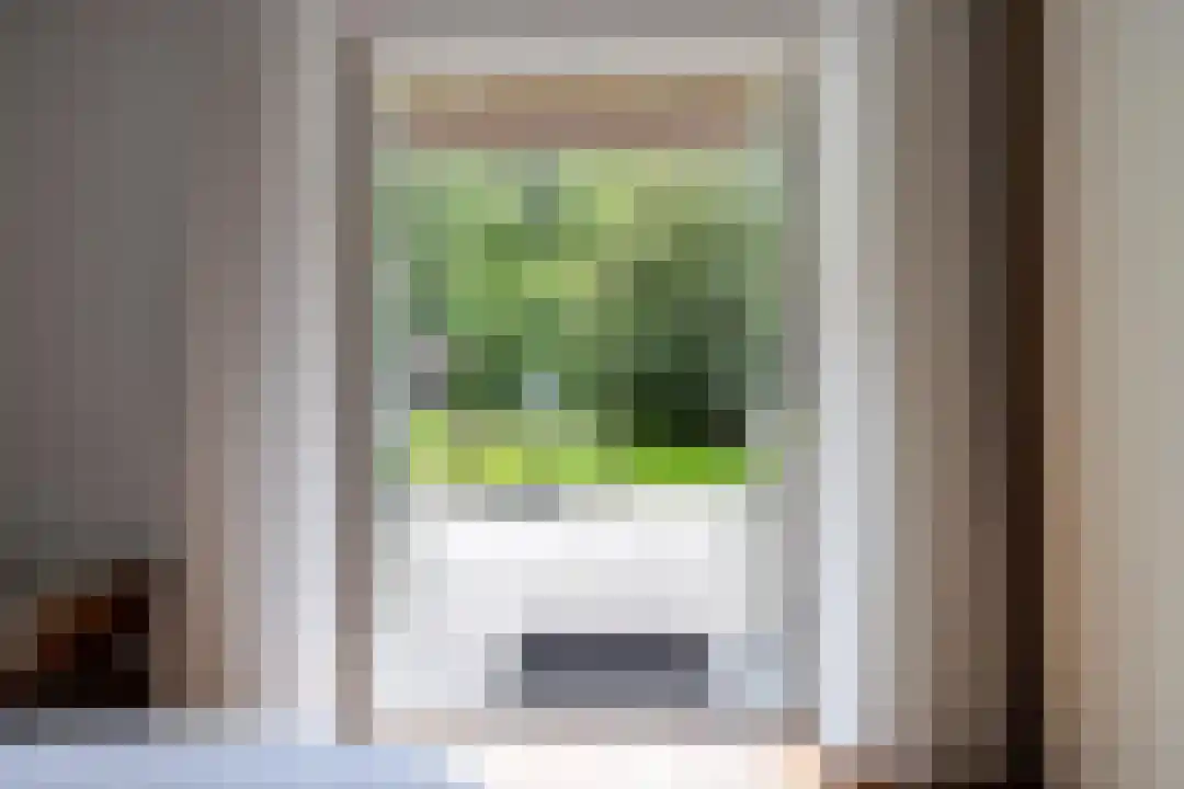 Roegte 19 Appelscha thumbnail 28