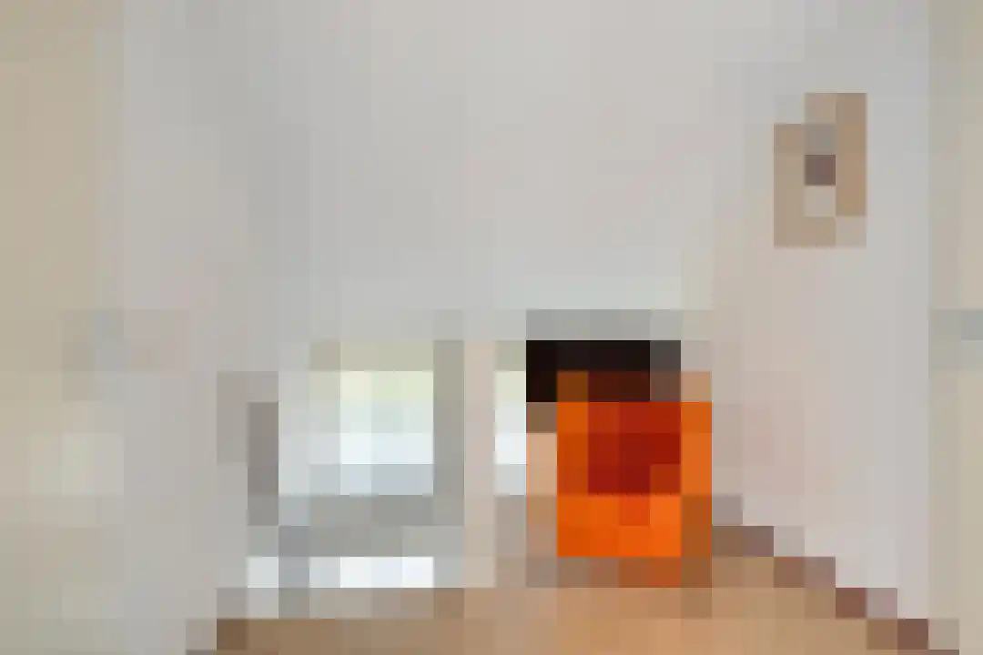 Roegte 19 Appelscha thumbnail 38