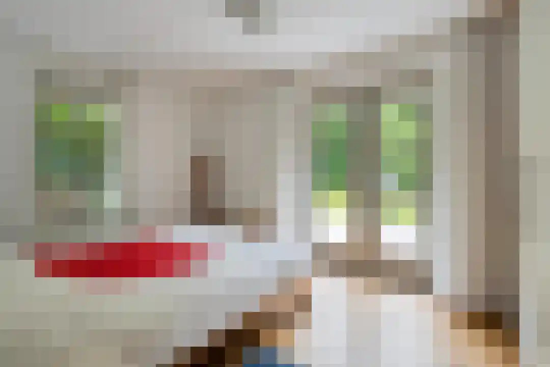 Roegte 19 Appelscha thumbnail 4