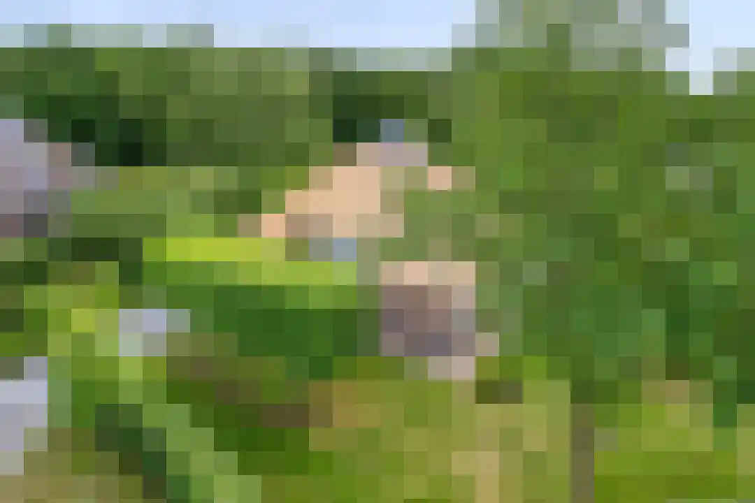 Roegte 19 Appelscha thumbnail 51