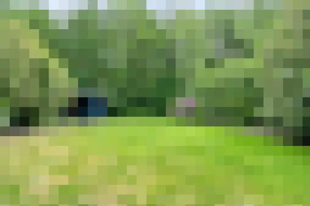 Roegte 19 Appelscha thumbnail 58