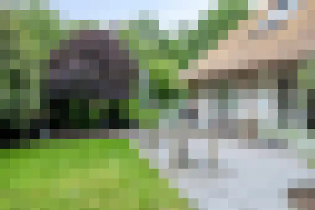 Roegte 19 Appelscha thumbnail 63