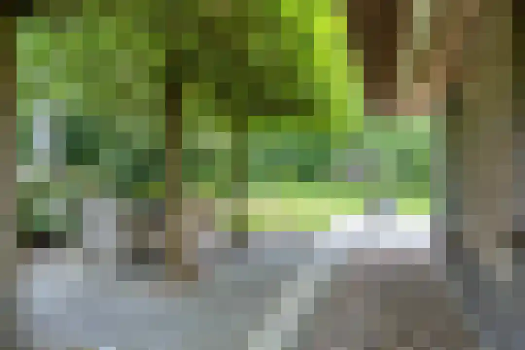 Roegte 19 Appelscha thumbnail 64