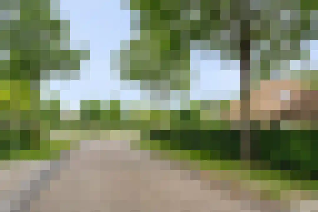 Roegte 19 Appelscha thumbnail 67
