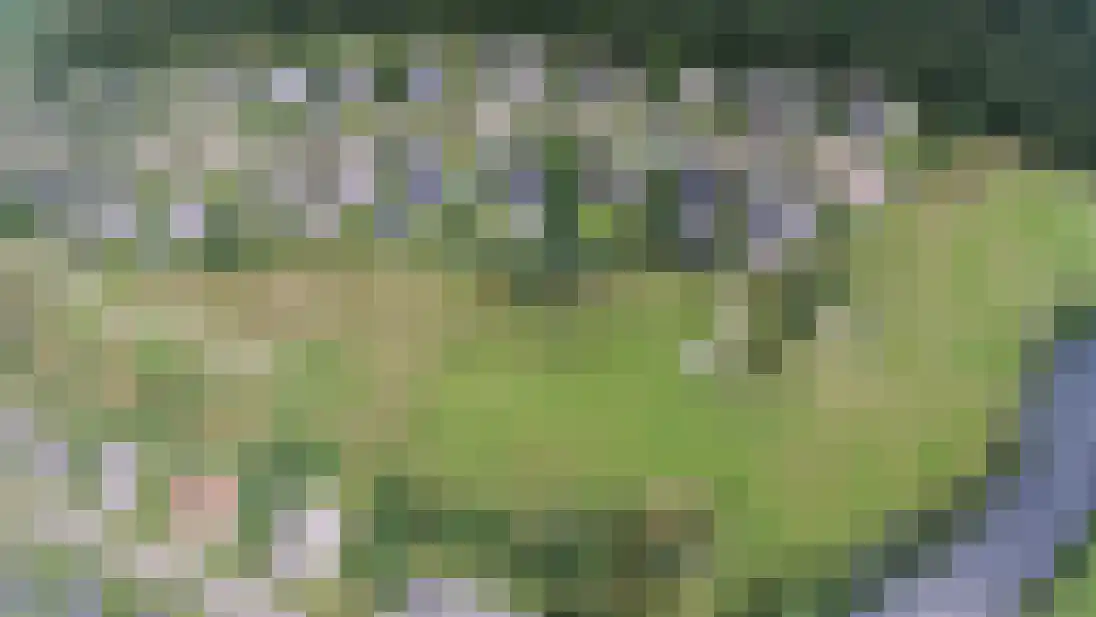 Roegte 19 Appelscha thumbnail 70