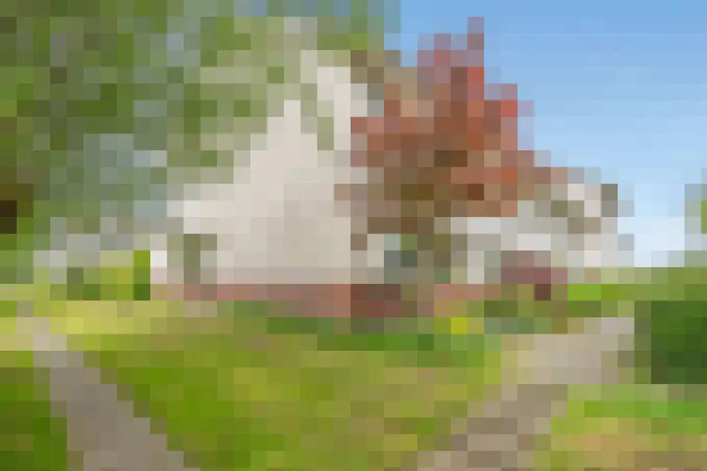 Roeibaan 38 Den Haag thumbnail 40